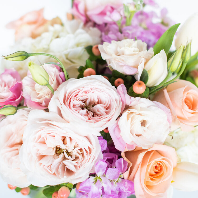 Garden Club